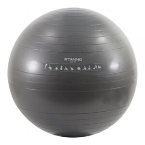 Stanno Exercise BallSilver-Metallic